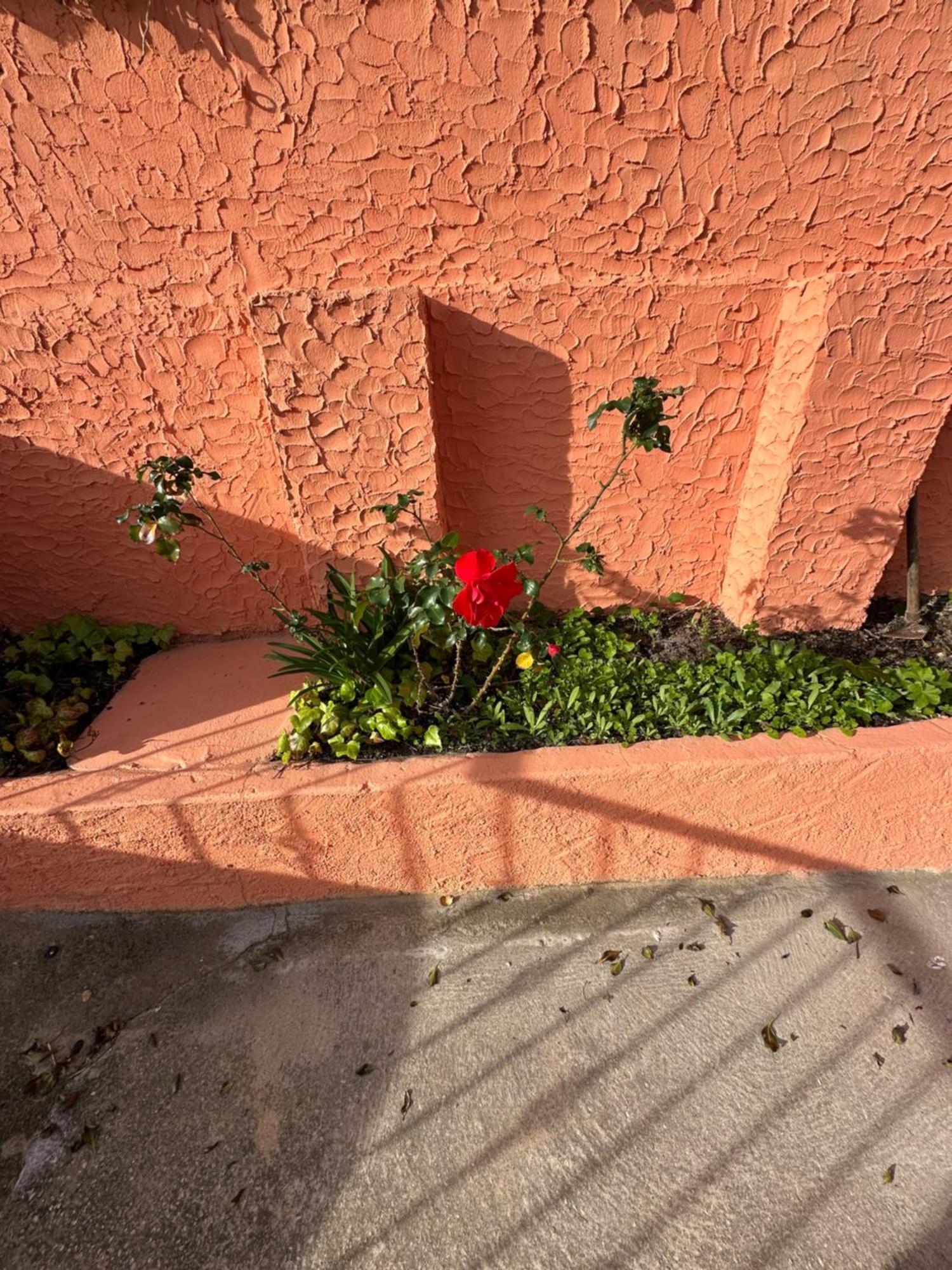 Casa Bettina La Maddalena Apartment ลามัดดาเลนา ภายนอก รูปภาพ